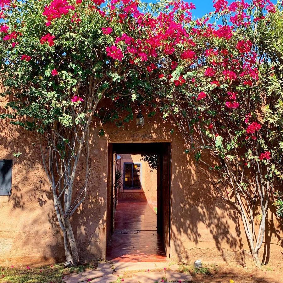 La Ferme Berbere Adult Only Bed & Breakfast El Harkat Luaran gambar