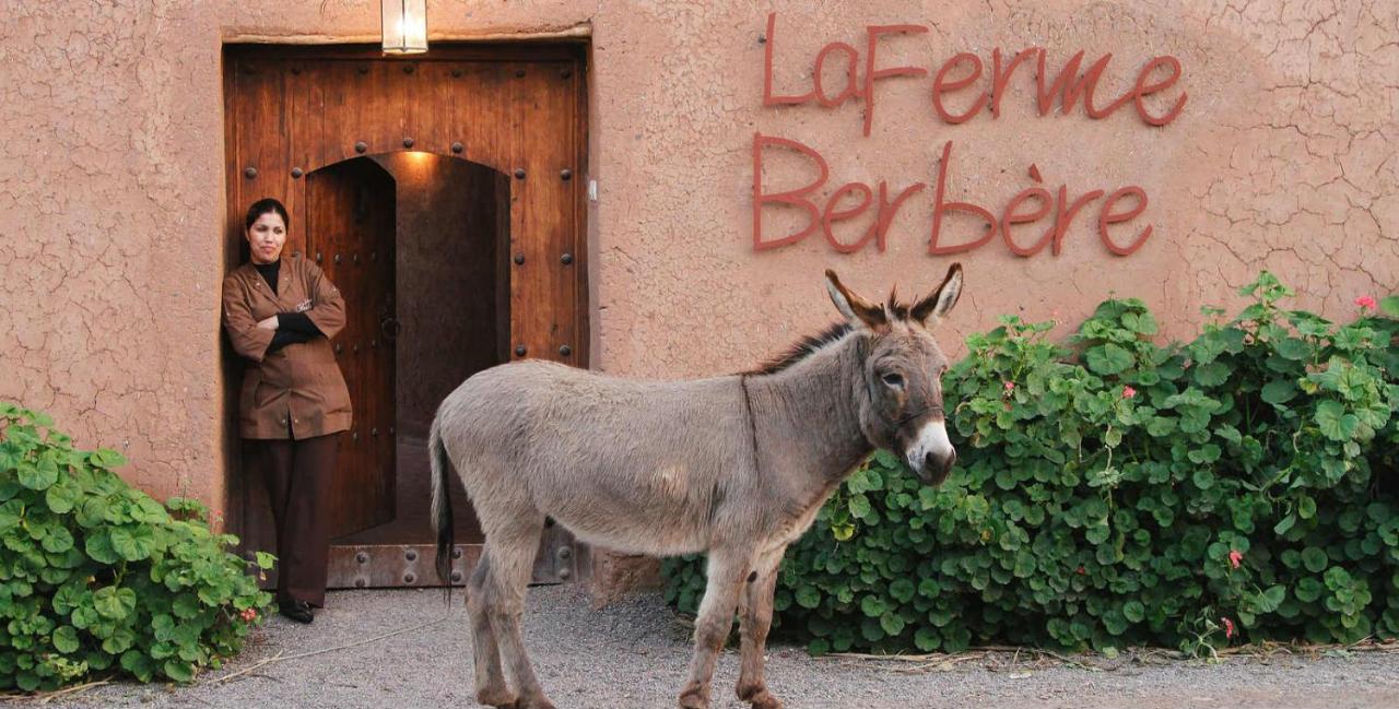 La Ferme Berbere Adult Only Bed & Breakfast El Harkat Luaran gambar
