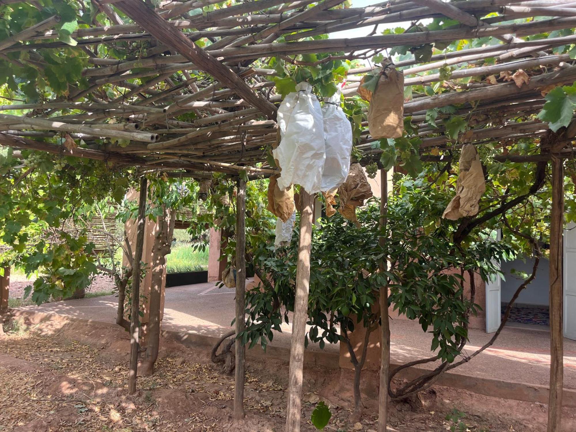 La Ferme Berbere Adult Only Bed & Breakfast El Harkat Luaran gambar