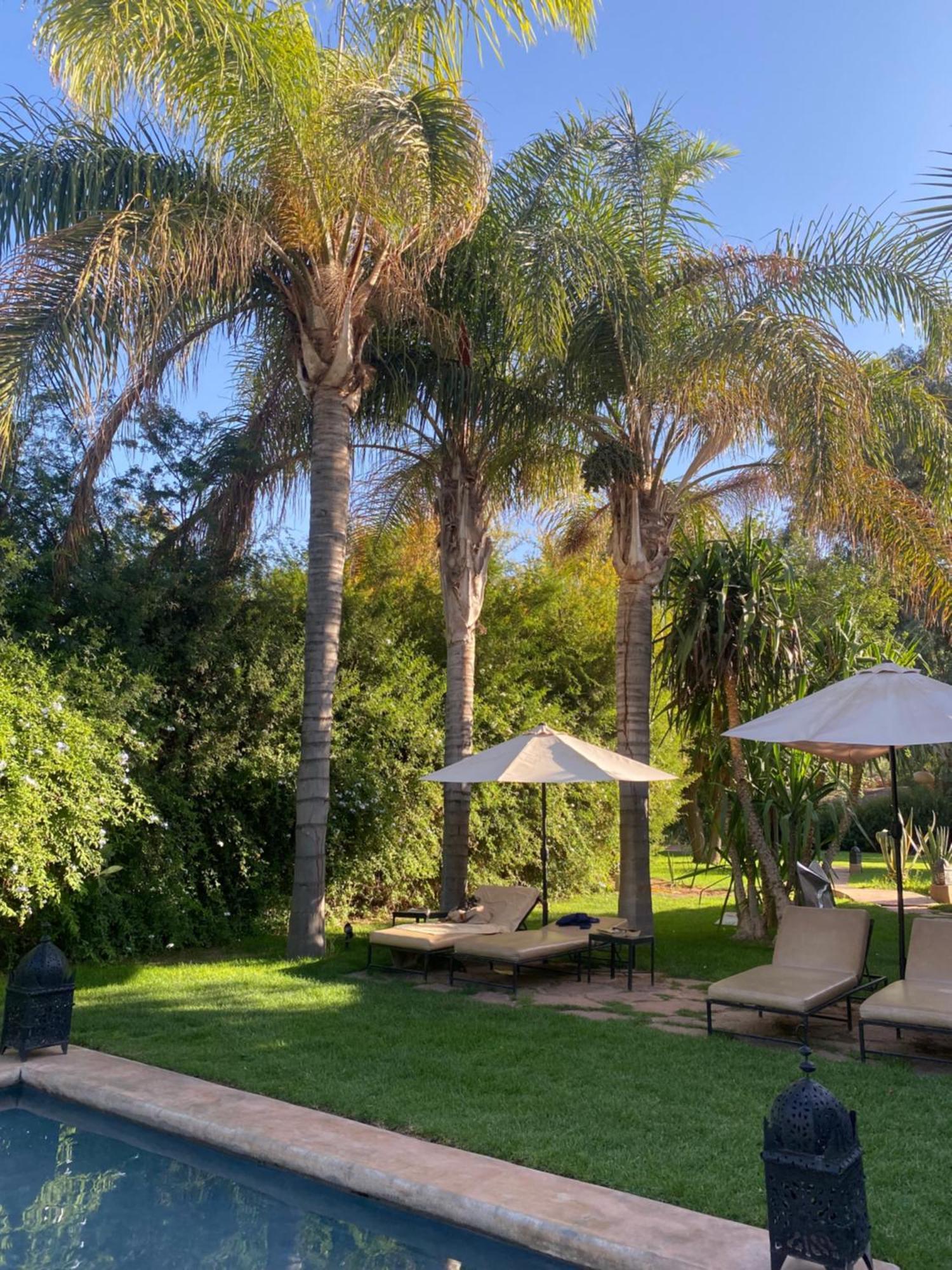 La Ferme Berbere Adult Only Bed & Breakfast El Harkat Luaran gambar
